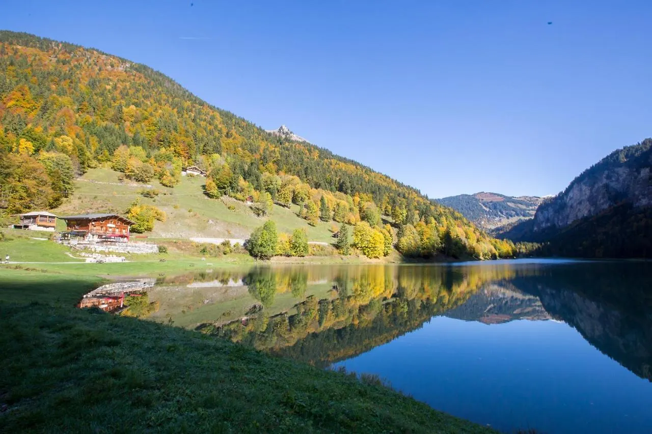 Rose Et Chardon Villa Morzine 0*,  France